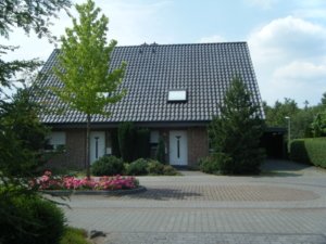 buddestr-001-1