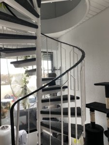 IMG_6278